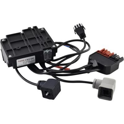 Менеджер горения Ecoflam E-BCU GAS с постоянной вентиляцией