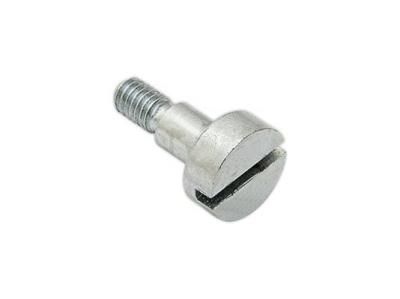 Винт фиксирующий