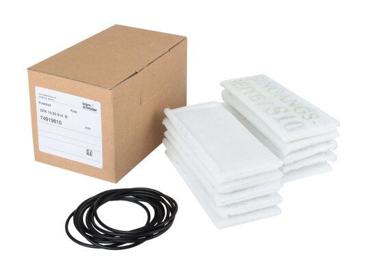 ремкомплект kromschroder 74919810