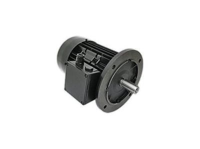 Электродвигатель  R. SCHAELI 3,0 кВт