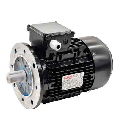 Электродвигатель Elvem 6T3 90L2 2.2 кВт