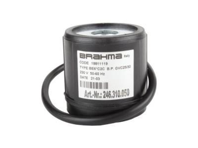 Электромагнитная катушка Brahma BE6*C2C 18811119