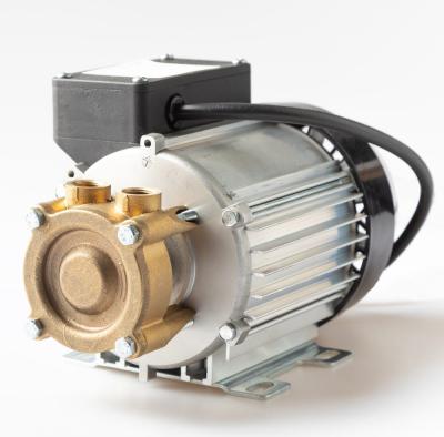 Охлаждающий электрический насос Umbra Pompe SAL 40 1х230 В 0,25 кВт для сварочных автоматов/полуавтоматов, Hmax 40м, Qmax 8л/мин (1160313101)