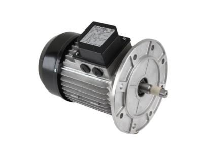 Электродвигатель Simel 10A/80R-1100-2T IE3