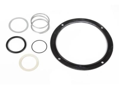 Ремкомплект фильтра Giuliani Anello 3197