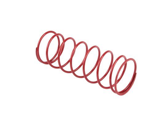 пружина dungs 25-55 мбар, 229822