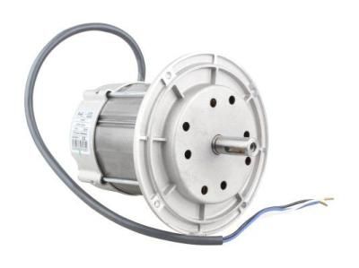 Электродвигатель RHE 250 Вт (605SE)