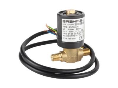 Жидкотопливный электромагнитный клапан Brahma E7/TS*A3C 13245501