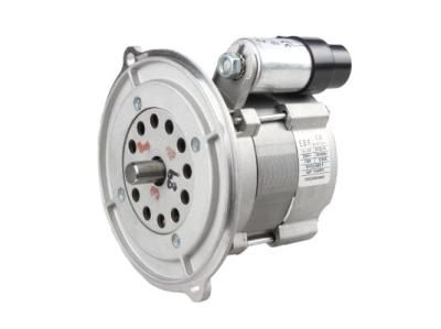 Электродвигатель Elco EBR DYD-75 F125