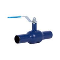Кран шаровой Water Тechnics WT BAL-S Ду 20, сварка (SKL003BALS20)