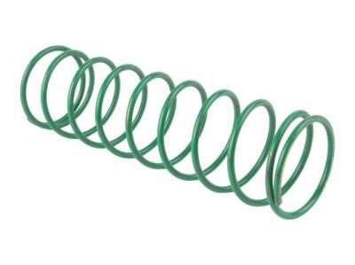 Пружина Giuliani Anello E534
