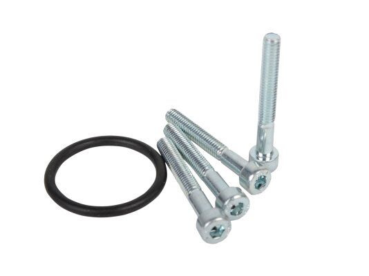 фланец газового клапана с ниппелем dungs, 245372