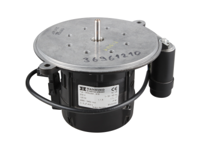 Электродвигатель Hanning OE6Z2B4-416