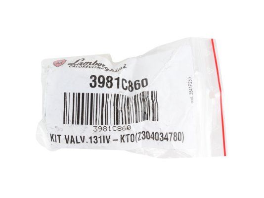 жидкотопливный электромагнитный клапан lamborghini ve 131iv