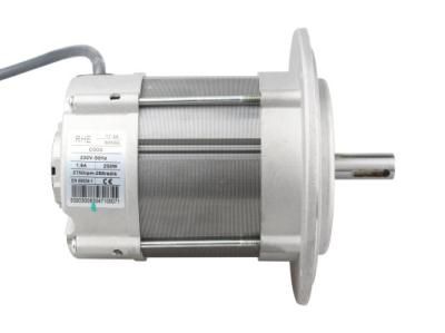 Электродвигатель Riello 250 Вт (605SE)