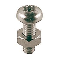 Винт для антивандальных оболочек R455CM4x12 GIACOMINI (R454DY001)