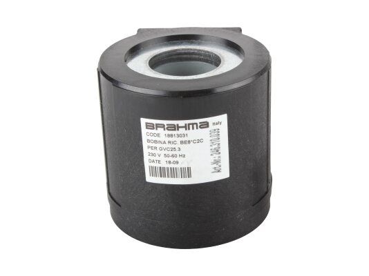 электромагнитная катушка brahma be8*c2c 18813031