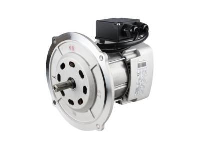 Электродвигатель RHE 3013425