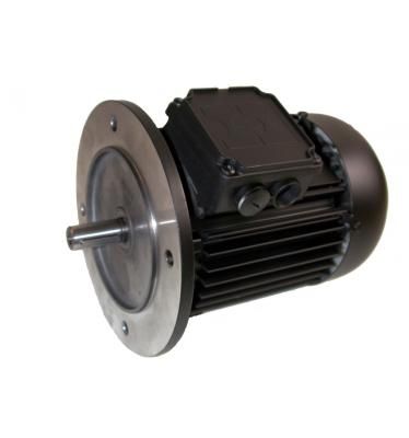 Электродвигатель Hoyer 7,28/8,73 кВт